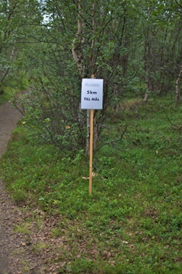 Noch 5 Kilometer bis ins Ziel: Harte Kilometer und mehr als zwei Stunden!