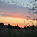 Der Himmel so rot ...