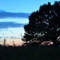 Die Milchkanne (rechts!) beweist die noch arbeitende Kche: Die Sonne ist schon weg!