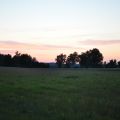 Das Feld bei strkerem Licht ...